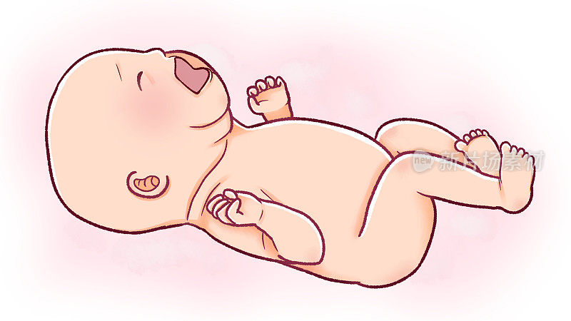 新生儿啼哭的插图