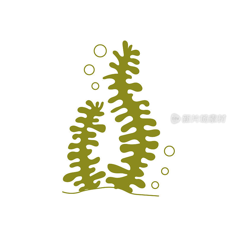 海藻，绿藻