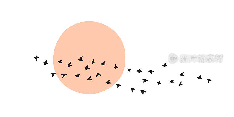 群鸟迎着太阳或月亮飞翔