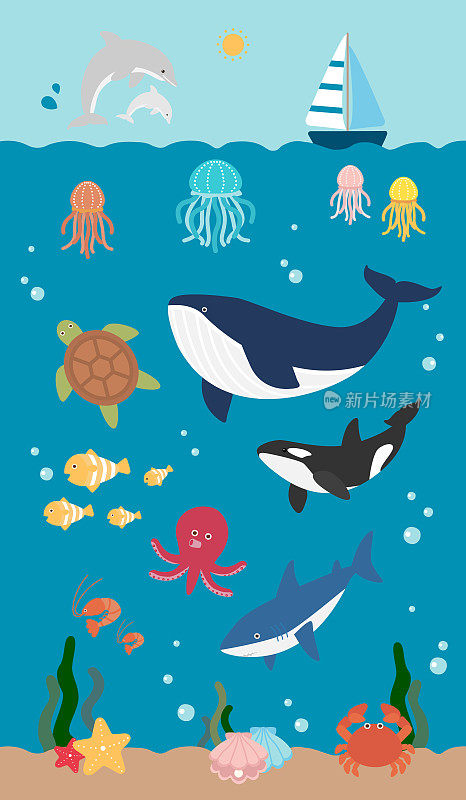 水下海洋生物。一组海洋动物。鲸鱼、水母、海龟、海豚、鱼类。