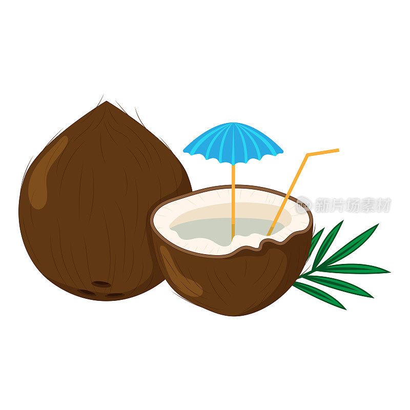 椰子插图。