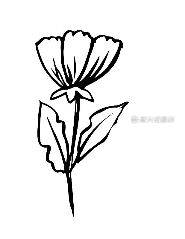 透明背景上的一朵花的手绘墨水涂鸦