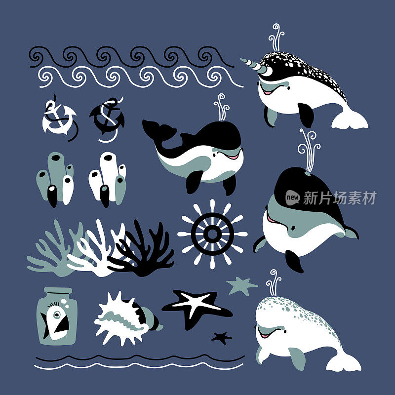 一群可爱的小鲸鱼。南美鲸，海豚，独角鲸，珊瑚，贝壳，锚。波浪用于装饰边框、框架和图案。