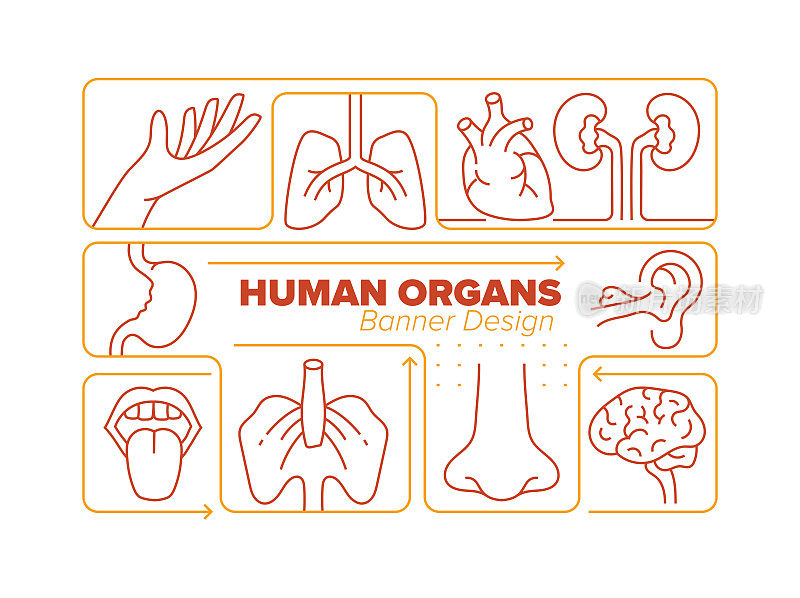 人体器官线图标集及相关工艺信息图设计