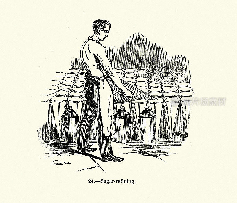 精制糖的男人，维多利亚时代，19世纪50年代