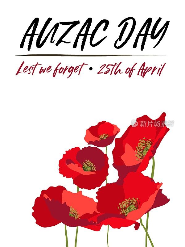 纪念日垂直海报布局与红色罂粟花在白色背景