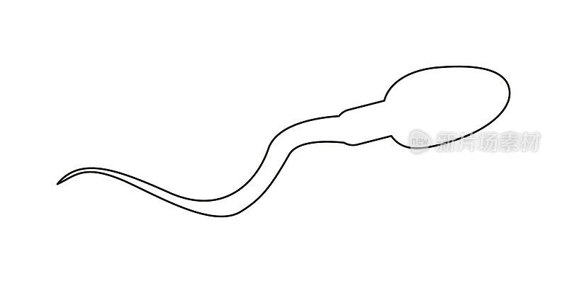 精子图标。人类精子细胞的轮廓样式。男性生育、精液检测、精子分析概念。矢量图解说明