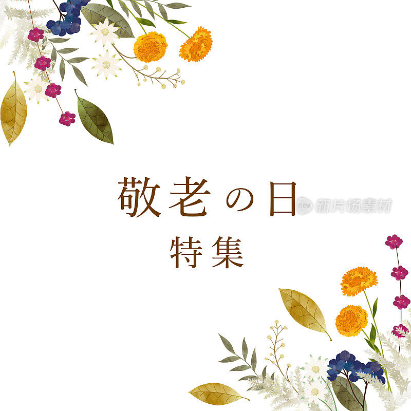 尊敬长者日海报。秋天的树叶和坚果的插图。“敬老节”日文翻译