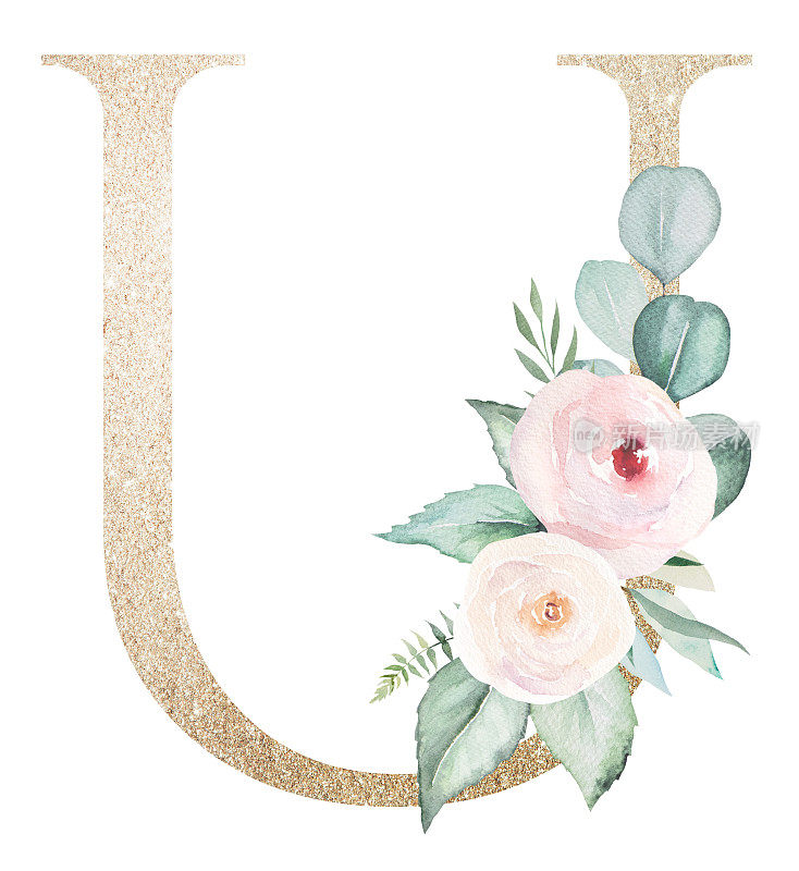 淡金色字母U与水彩玫瑰和叶子。粉彩花卉字母表
