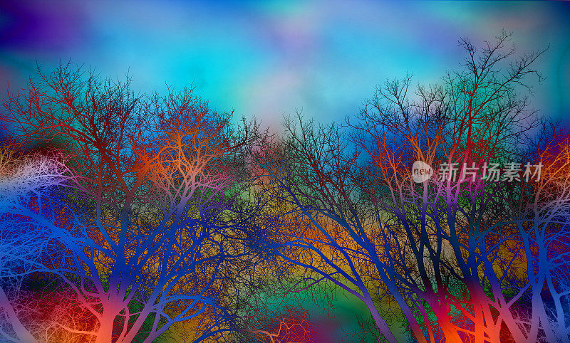 彩色的树木和天空背景