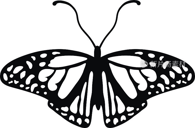 黑白相间的蝴蝶标志