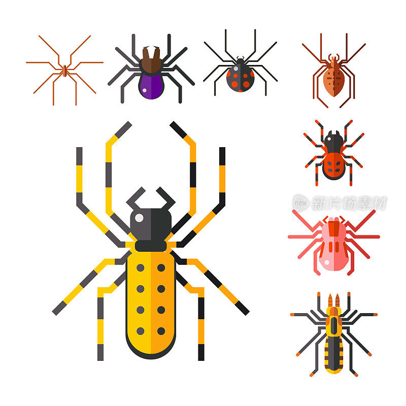 蜘蛛网剪影蜘蛛害怕图形平面可怕的动物设计自然昆虫危险恐怖万圣节矢量图标