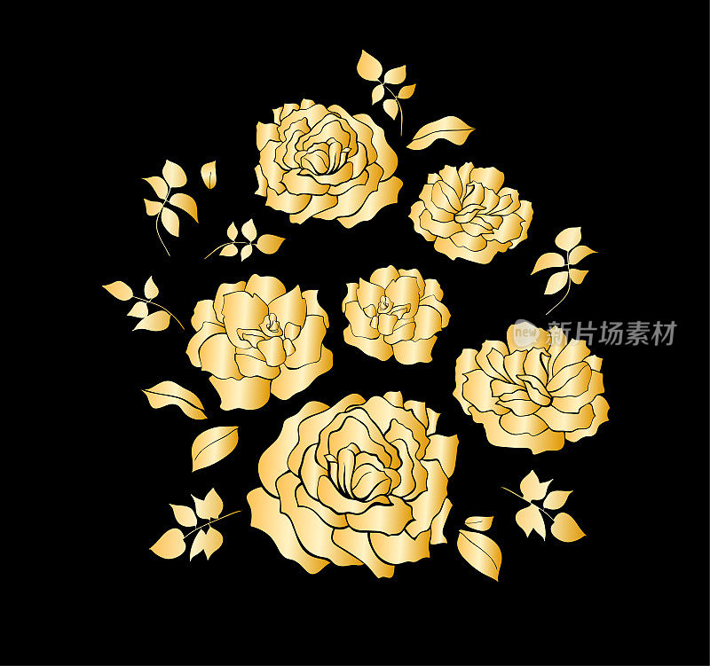 花卉设计，矢量插图集手绘。金色梯度花园玫瑰花和叶子，优雅的花束孤立在黑色的背景。