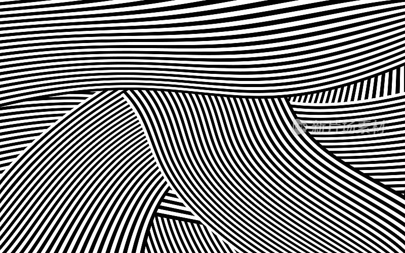 斑马设计黑白条纹向量