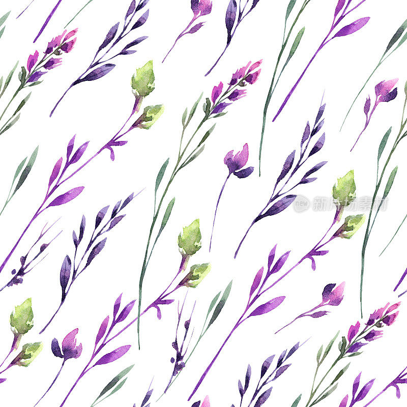 无缝图案精致的花草。夏春水彩插画。紫罗兰色的植物纹理。优雅的设计。可用于海报，印花织物上