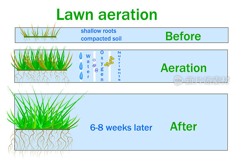 草坪通风有利于植物的生长。水和空气可以自由接触土壤。处理之前和之后的步骤。