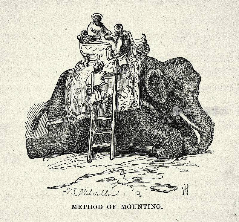 骑象的方法，人们骑在象背上，或叫象背上，19世纪60年代的维多利亚时代