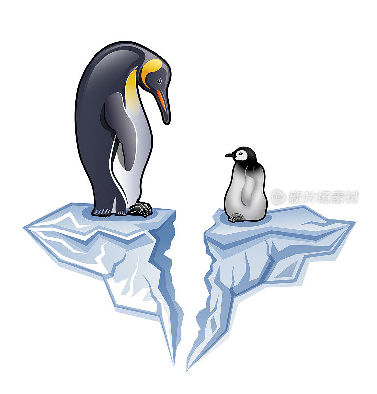 南极洲国王企鹅与小鸡或雏鸟站在破碎的冰山插图