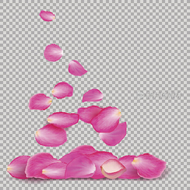 抽象背景与现实的粉红色玫瑰花瓣飞在白色透明的背景。矢量插图。每股收益10