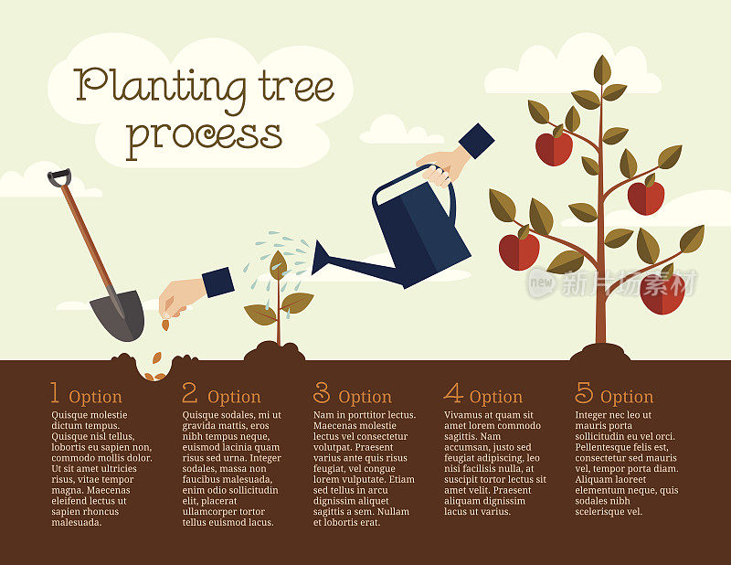 树种植过程