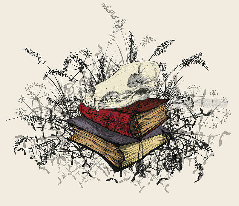 骷髅在神秘的书里，被草包围着。