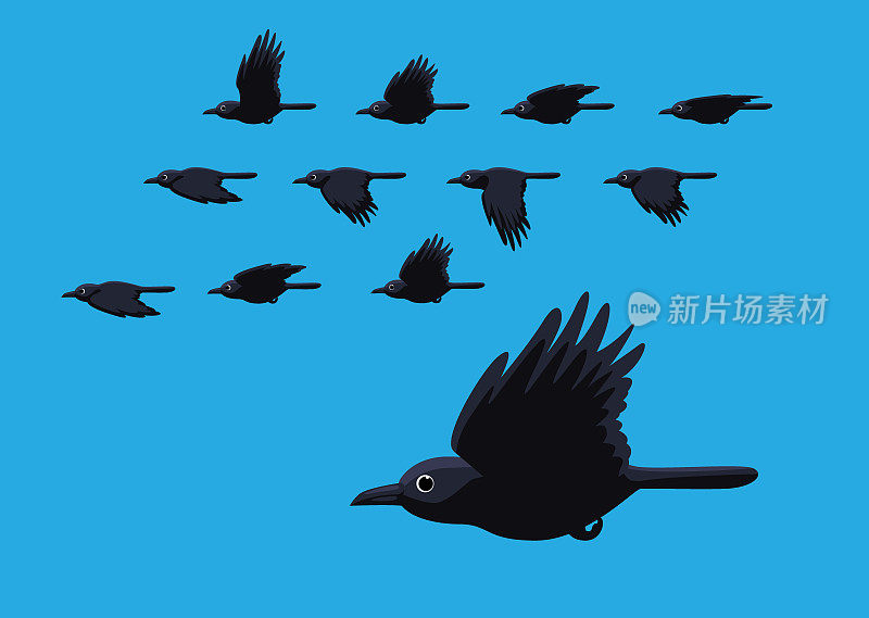 乌鸦飞行运动动画序列卡通矢量插图