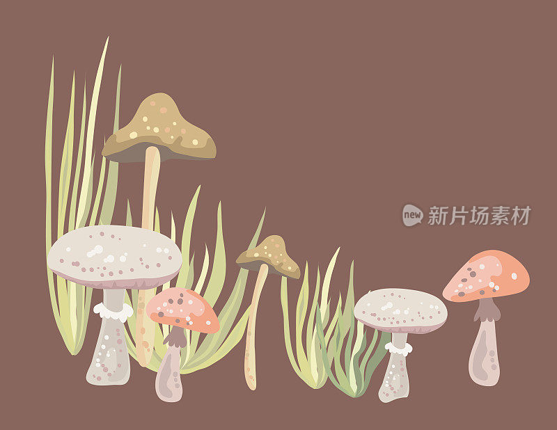 美丽柔和的秋天蘑菇在草地上