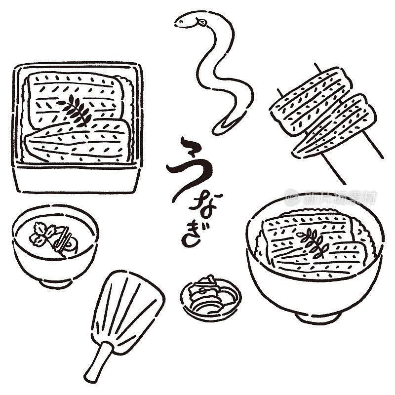 插图集美味的鳗鱼菜肴