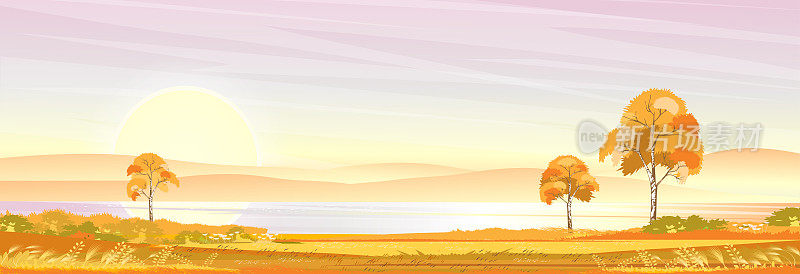 秋天的风景，在湖边的草地，山，粉红色的天空和云彩，矢量自然卡通风景背景的秋天，全景乡村在河与日落在晚上