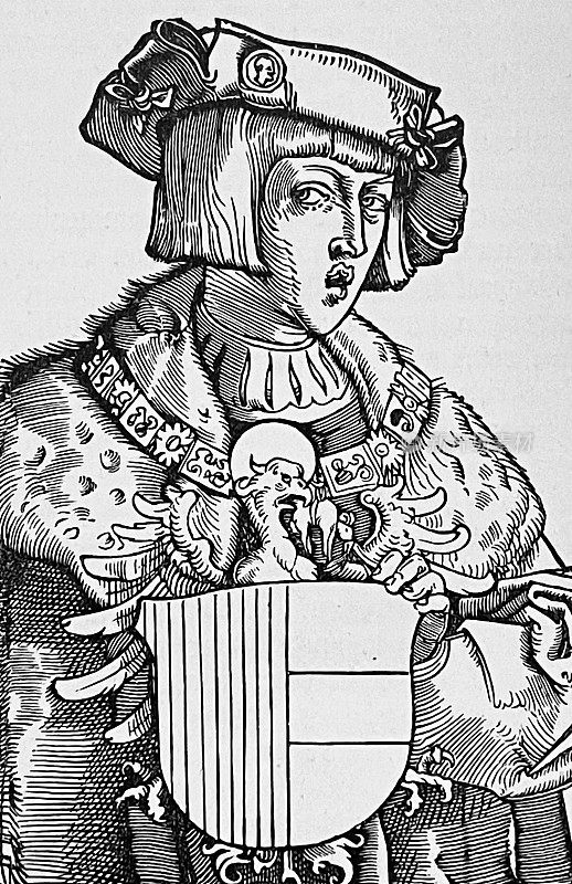 国王卡尔五世，1521年的肖像