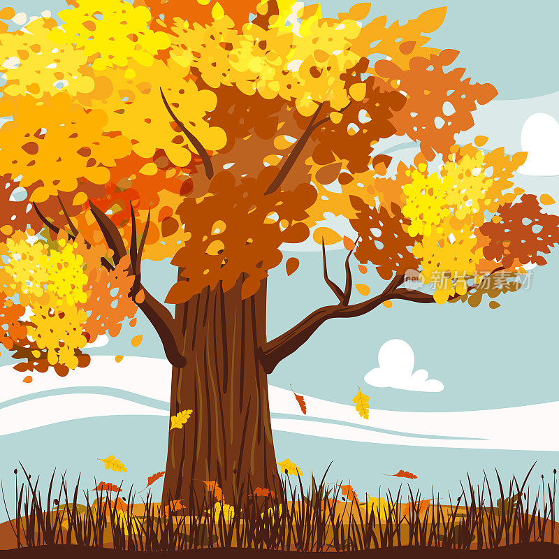 秋天的风景与橡树黄，橙，落叶。田园风光，田园风光