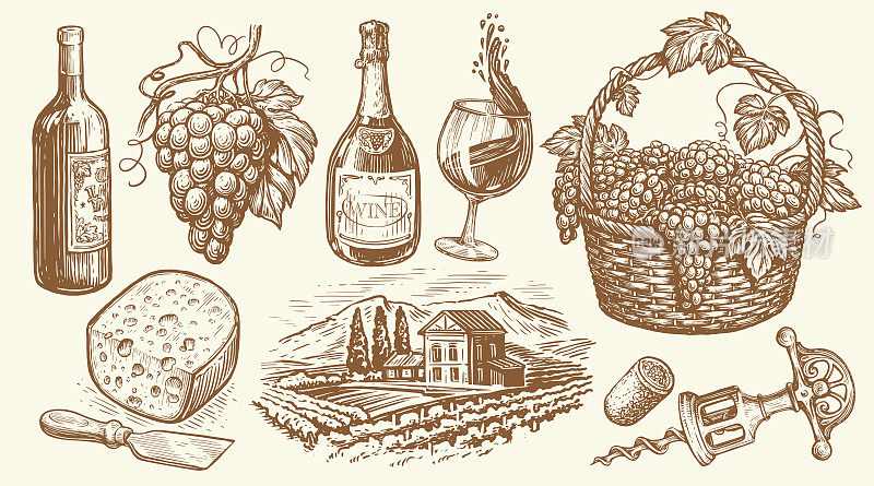 一瓶葡萄酒，葡萄藤，葡萄园，开瓶器，篮子里的葡萄，奶酪。酒厂素描集。的向量