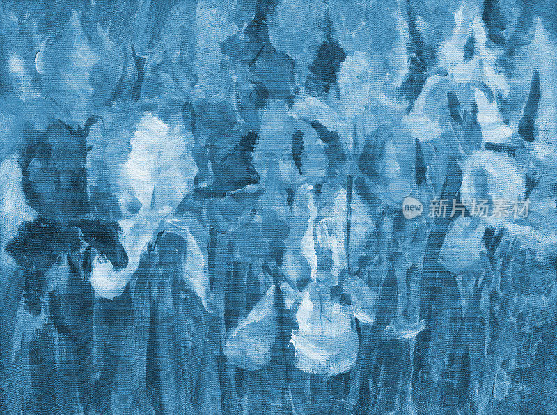 插图油画在蓝色的山水花鸢尾花盛开在花坛的叶子的芽的背景