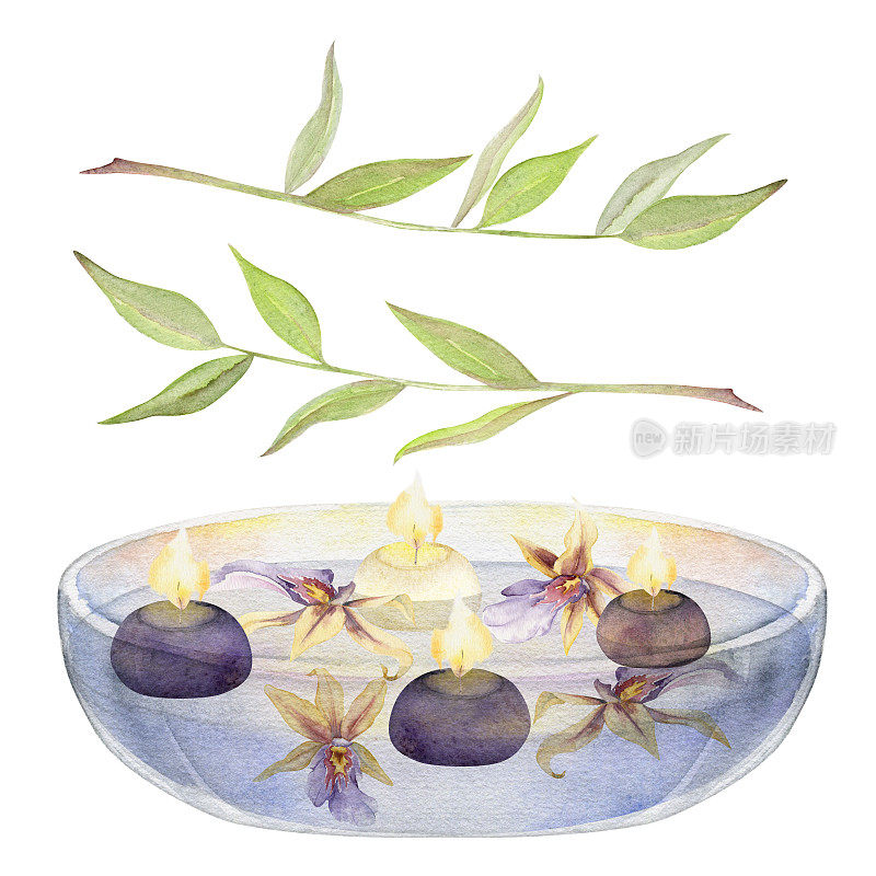 手绘水彩水疗浮动蜡烛在玻璃碗，兰花花和桉树。白色背景上孤立的物体。设计墙壁艺术，疗养胜地，印刷，织物，封面，卡片，小册子。