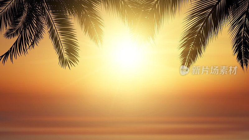 热带海滩日落矢量插图。棕榈叶的剪影映衬着夕阳下的海洋