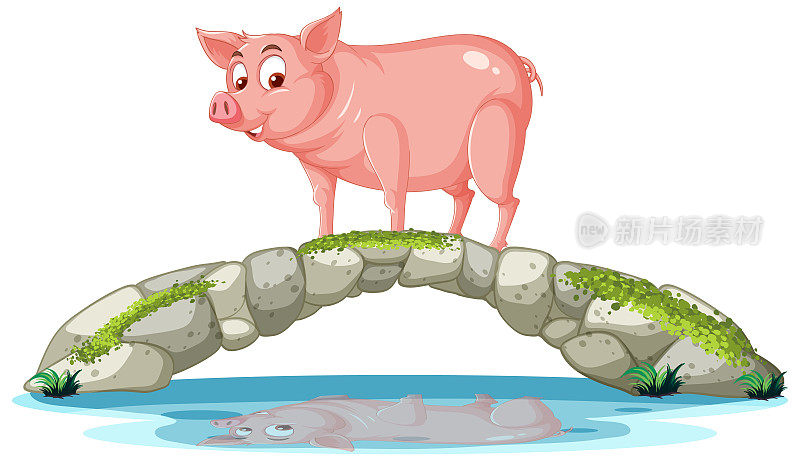 一只猪站在石桥上