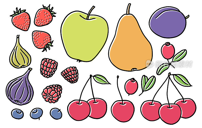 一套手绘的当地水果和浆果
