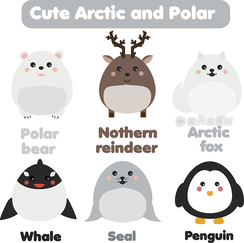 可爱可爱的北极和极地动物。儿童风格，孤立的设计元素，向量。海豹,鲸,企鹅