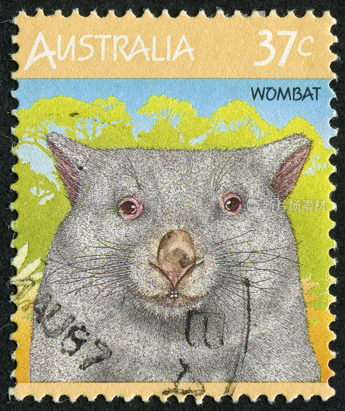 袋熊邮票