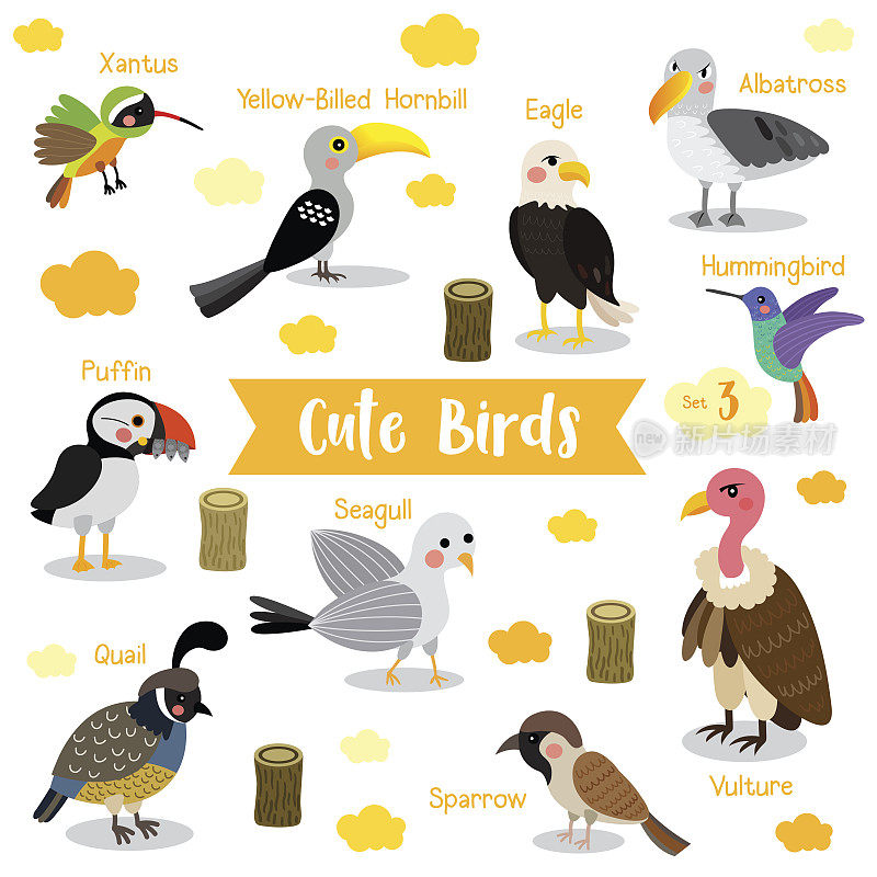 鸟动物卡通与动物的名字矢量插图。集3