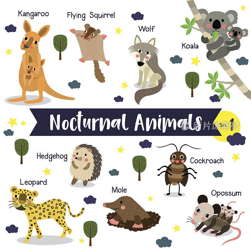 夜间动物卡通与动物的名字矢量插图。组1