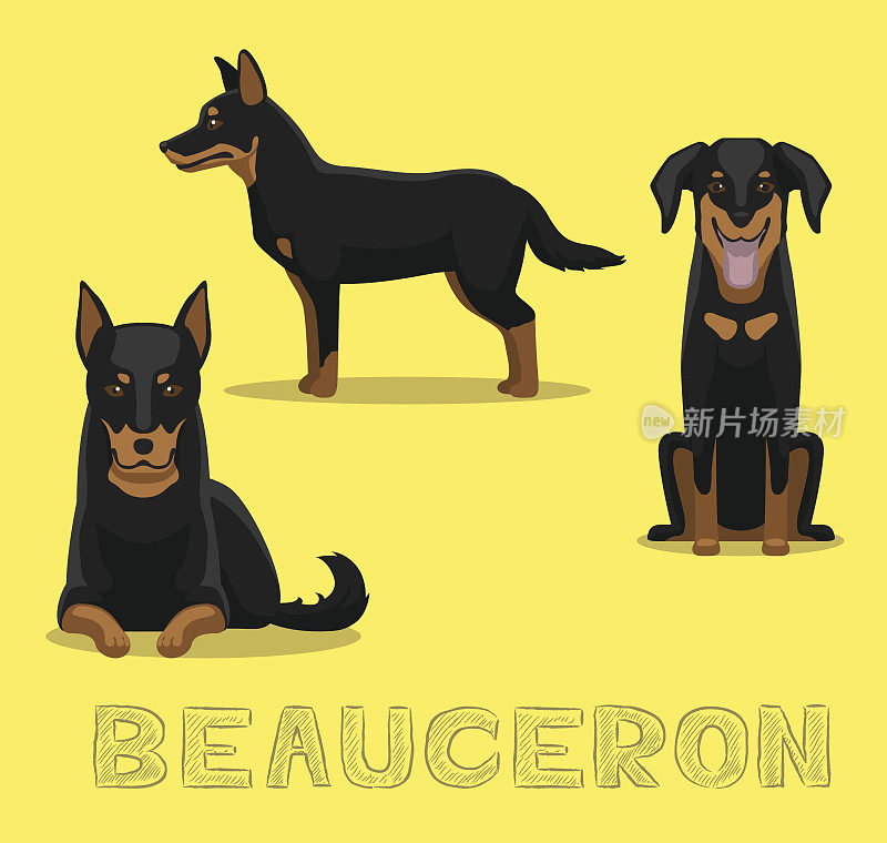 狗Beauceron卡通矢量插图