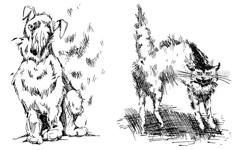 一只友好的狗和一只嘶嘶发怒的猫。时尚的黑白矢量插图与手绘设计在一个白色的背景。