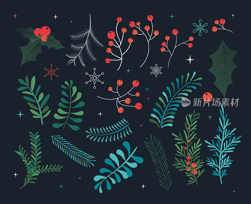 冬天的背景与浆果枝。圣诞插图。