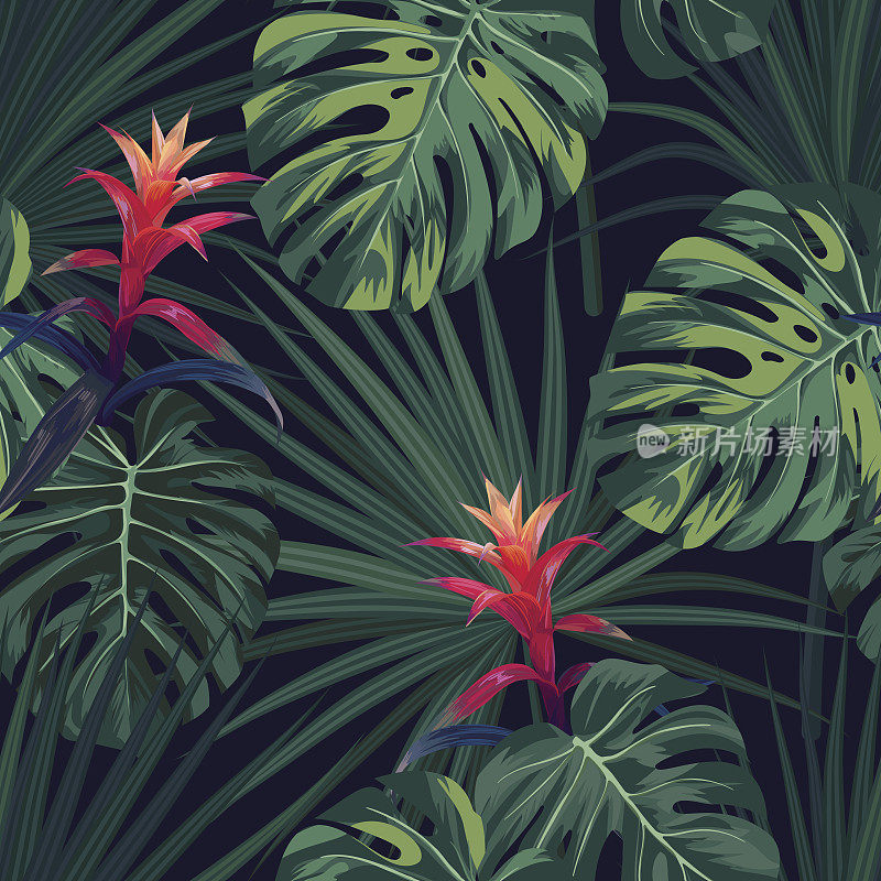异国情调的热带背景与夏威夷植物和花卉。无缝矢量图案与绿色怪物和sabal棕榈叶，古兹马尼亚花