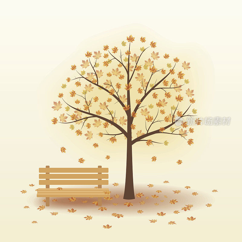 树,公园的长椅上,。