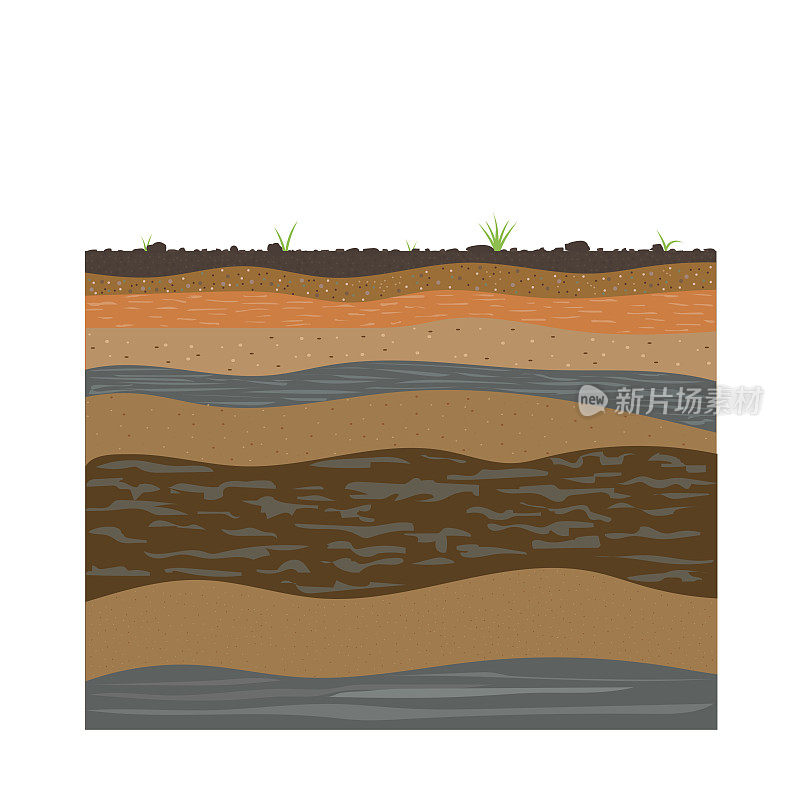 土壤形成与土壤层