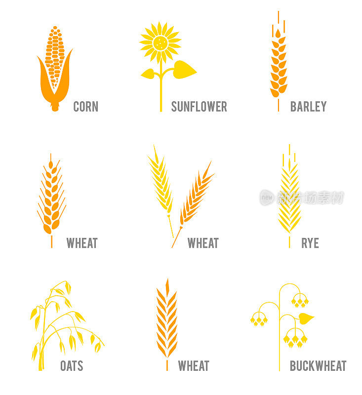 谷类图标设置大米，小麦，玉米，燕麦，黑麦，大麦，向日葵，荞麦。