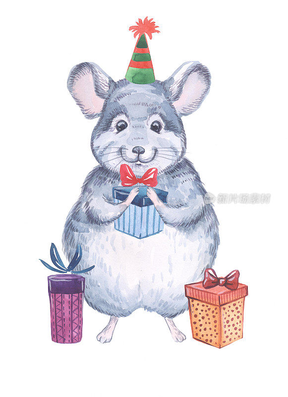一只栗鼠带着礼物，在一顶水彩画上形象过年