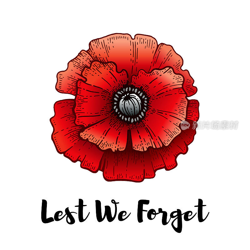 纪念日。用波比免得我们忘了短信。停战纪念日和澳新军团背景。花插图的世界大战纪念。11月11日海报。加拿大，澳大利亚的旗帜上有红色的罂粟花
